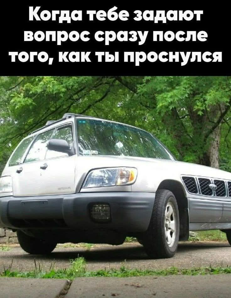 Когда тебе задают вопрос сразу после того, как ты проснулся