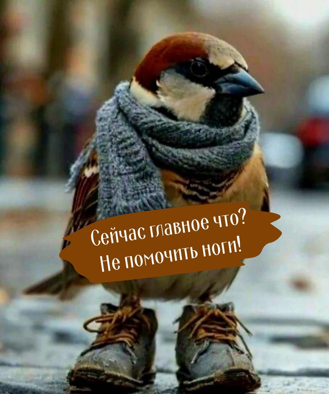 Сейчас главное что? Не промочить ноги!