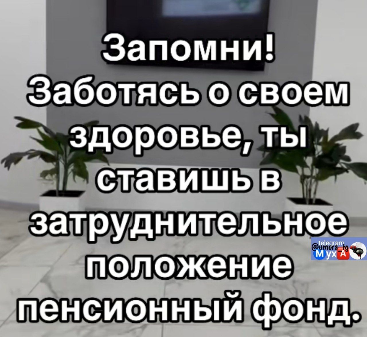Запомни! Заботясь о своем здоровье, ты ставишь в затруднительное положение пенсионный фонд.