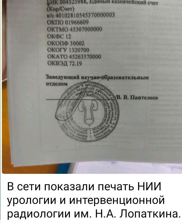 Бик 004525988, Единый казначейский счет (Кор/Счет) к/с 401028105435370000003 OKPO 1966609 ОКТМО 4530700000 ОКФС 12 ОКОПФ 30002 ОКОК 1320700 ОКАТО 45263750000 ОКВЭ 72.19

Заведующий научно-образовательным отделом
(подпись и штамп)

В сети показали печать НИИ урологии и интервенционной радиологии им. Н.А. Лопаткина.