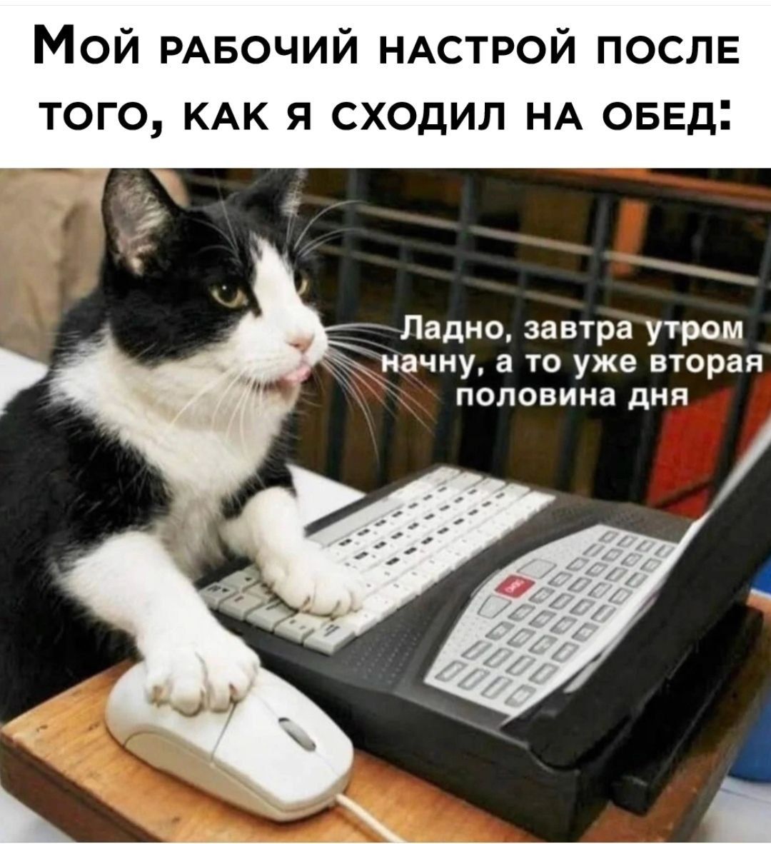 Мой рабочий настрой после того, как я сходил на обед: Ладно, завтра утром начну, а то уже вторая половина дня