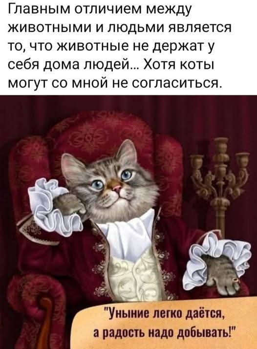Главным отличием между животными и людьми является то, что животные не держат у себя дома людей... Хотя коты могут со мной не согласиться.
«Уныние легко даётся, а радость надо добывать!»
