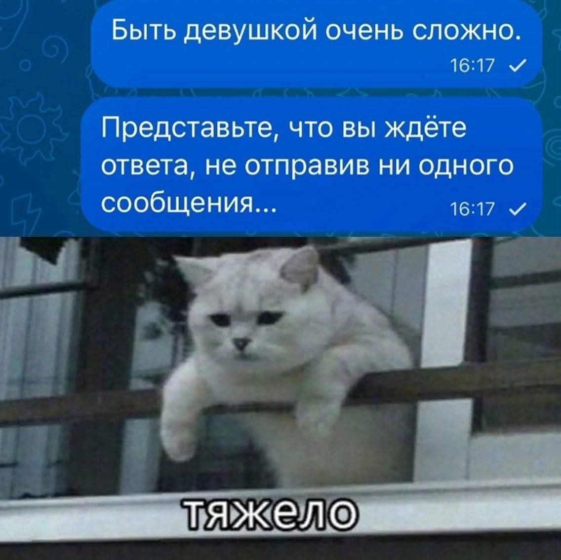 Быть девушкой очень сложно. Представьте, что вы ждёте ответа, не отправив ни одного сообщения... тяжело