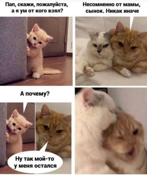 Пап, скажи, пожалуйста, а я у мамы от кого взял?
Несомненно от мамы, сынок. Никак иначе
А почему?
Ну так мой-то у меня остался