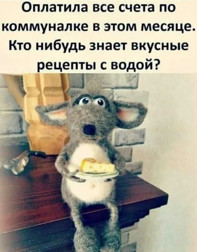 Оплатила все счета по коммуналке в этом месяце. Кто нибудь знает вкусные рецепты с водкой?