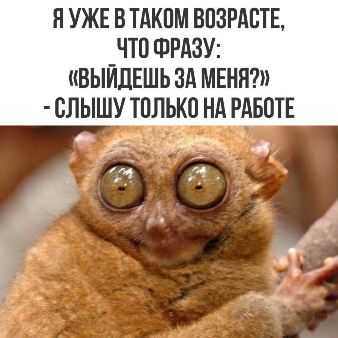 Я УЖЕ В ТАКОМ ВОЗРАСТЕ, ЧТО ФРАЗУ: «ВЫЙДЕШЬ ЗА МЕНЯ?» - СЛЫШУ ТОЛЬКО НА РАБОТЕ