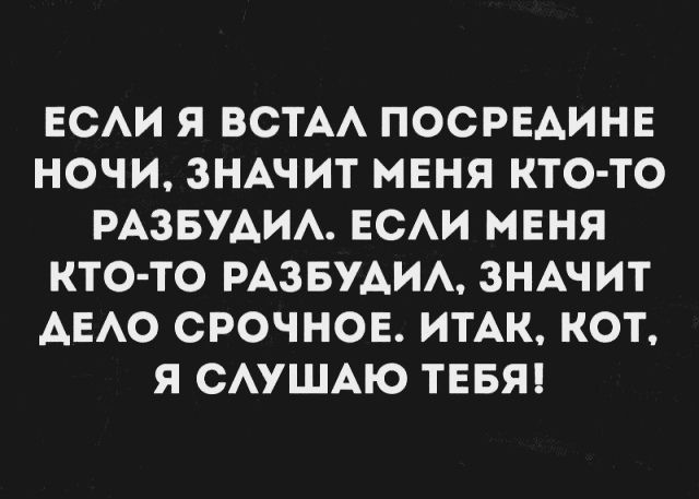 ЕСЛИ Я ВСТАЛ ПОСРЕДИНЕ НОЧИ, ЗНАЧИТ МЕНЯ КТО-ТО РАЗБУДИЛ. ЕСЛИ МЕНЯ КТО-ТО РАЗБУДИЛ, ЗНАЧИТ ДЕЛО СРОЧНОЕ. ИТАК, КОТ, Я СЛУШАЮ ТЕБЯ!