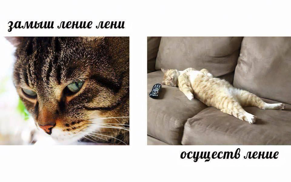 замышление лени  осуществление лени