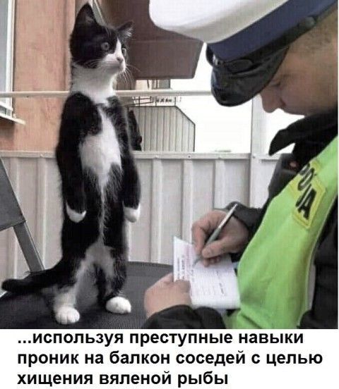 ...используя преступные навыки проник на балкон соседей с целью хищения вяленой рыбы