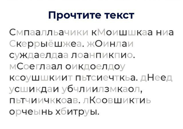 Прочтите текст
[неразборчивый текст в изображении на фоне искажённых символов]