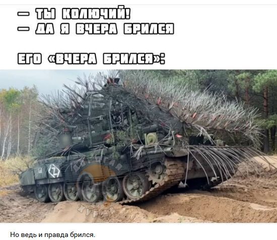 - ТЫ КОЛЮЧИЙ!
- ДА Я ВЧЕРА БРИЛСЯ
ЕГО «ВЧЕРА БРИЛСЯ»?
Но ведь и правда брился.