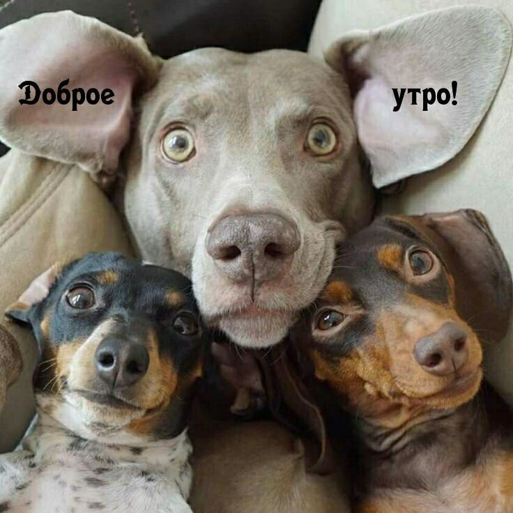 Доброе утро!