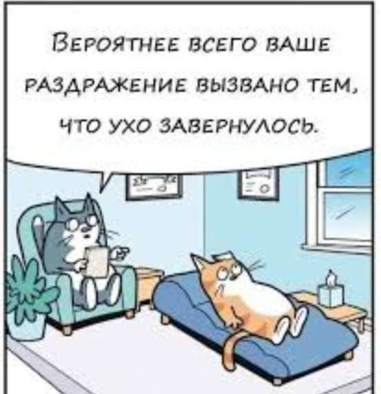 Вероятнее всего ваше раздражение вызвано тем, что ухо завернулось.