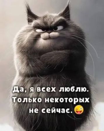 Да, я всех люблю. Только некоторых не сейчас. 😜
