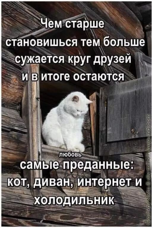 Чем старше становишься тем больше сужается круг друзей и в итоге остаются\nлюбовь\nсамые преданные: кот, диван, интернет и\nhолодильник