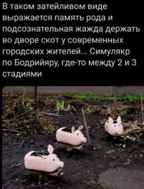 В таком зати́лейливом виде выражается память рода и подсознательная жажда держать во дворе скот у современных городских жителей... Симулякр по Бодрийяру, где-то между 2 и 3 стадиями