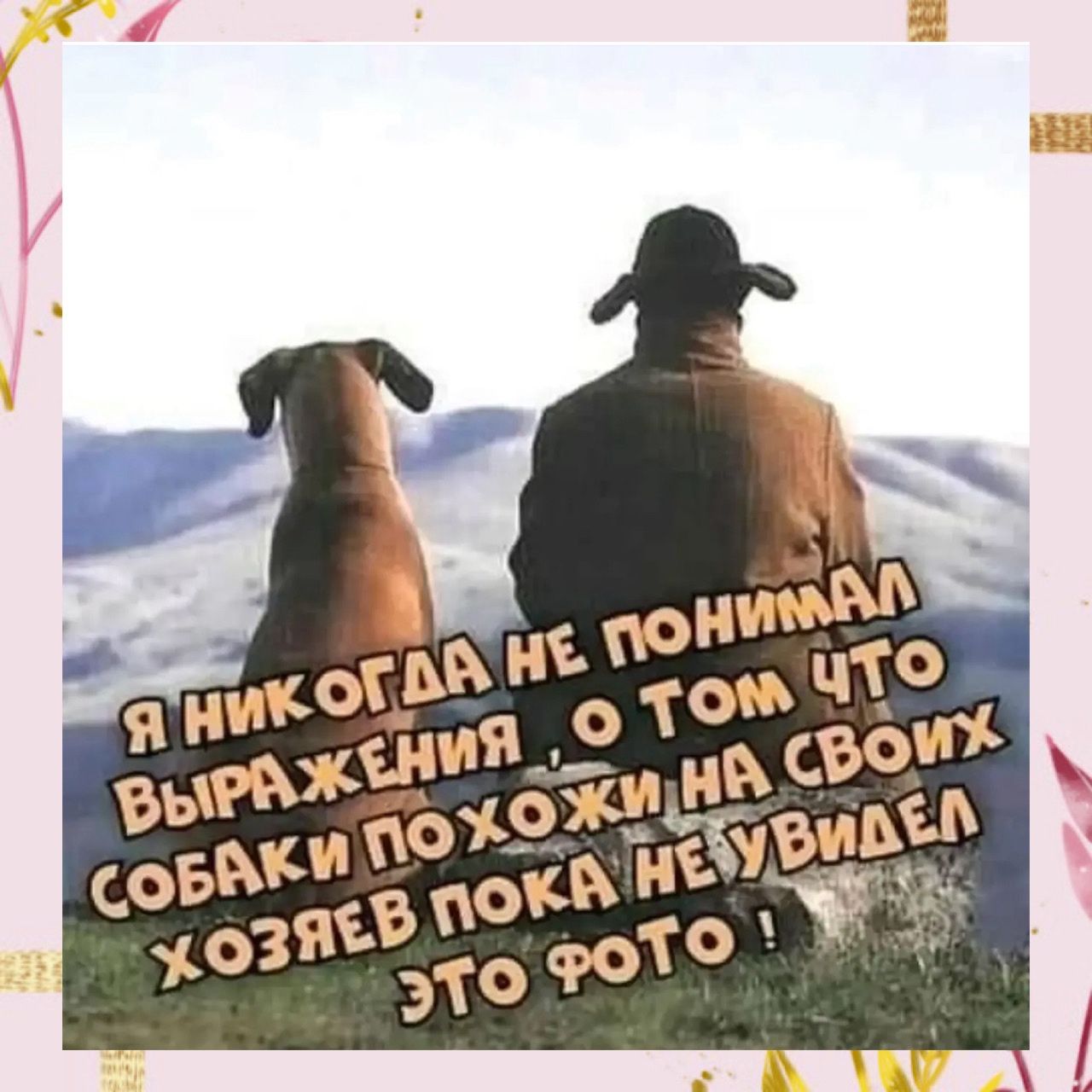 Я НИКОГДА НЕ ПОНИМАЛ ВЫРАЖЕНИЯ, О ТОМ ЧТО СОБАКИ ПОХОЖИ НА СВОИХ ХОЗЯЕВ ПОКА НЕ УВИДЕЛЭТО ФОТО !