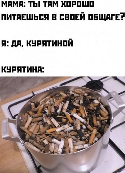 МАМА: ТЫ ТАМ ХОРОШО ПИТАЕШЬСЯ В СВОЕЙ ОБЩАГЕ? Я: ДА, КУРЯТИНОЙ КУРЯТИНА: