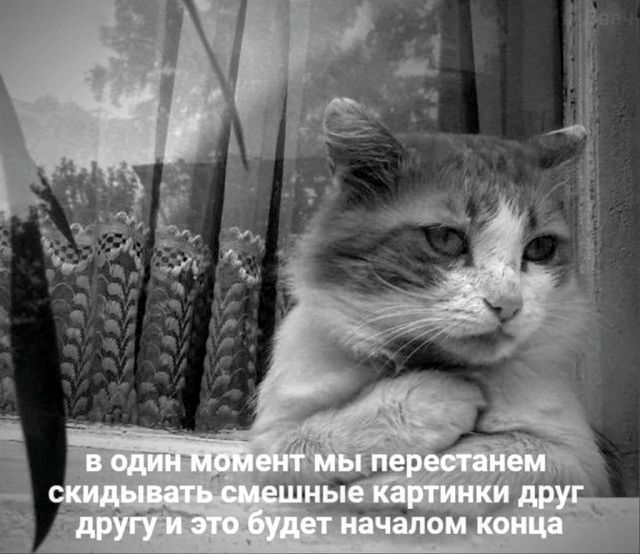 в один момент мы перестанем скидывать смешные картинки друг другу и это будет началом конца