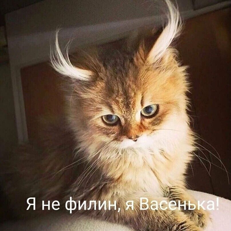 Я не филипин, я Васенька!