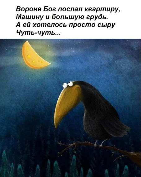 Вороне Бог послал квартиру, Машину и большую грудь. А ей хотелось просто сыру Чуть-чуть...