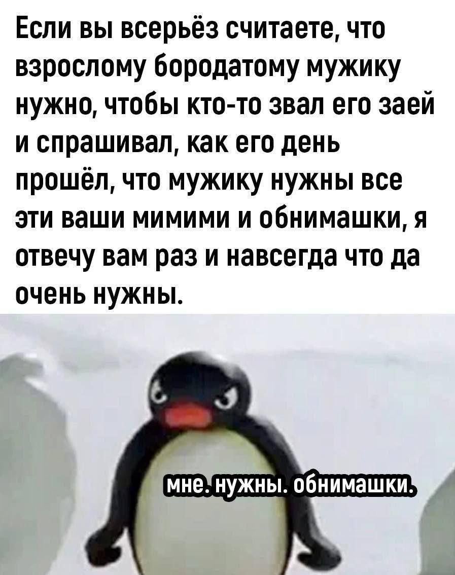 Если вы всерьёз считаете, что взрослому бородатому мужику нужно, чтобы кто-то звал его заей и спрашивал, как его день прошёл, что мужику нужны все эти ваши мимими и обнимашки, я отвечу вам раз и навсегда что да очень нужны.
мне. нужны. обнимашки.