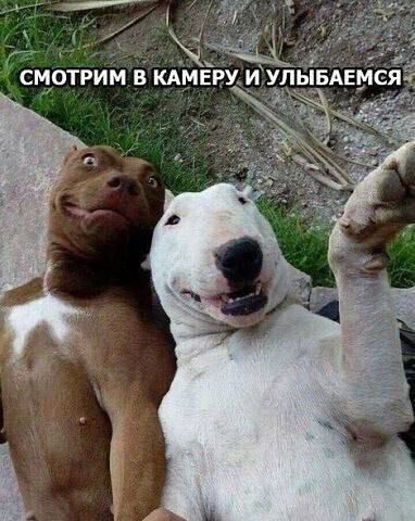 СМОТРИМ В КАМЕРУ И УЛЫБАЕМСЯ