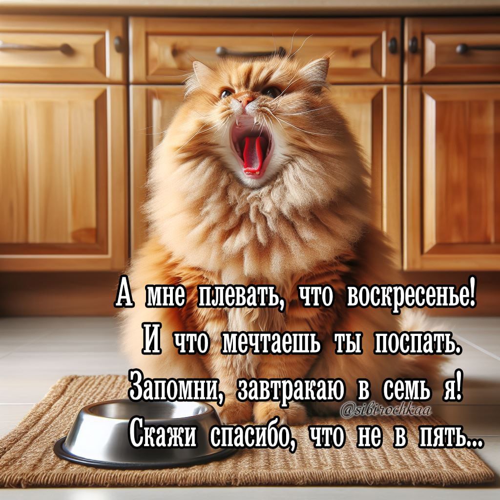 А мне плевать, что воскресенье!
И что мечтаешь ты поспать.
Запомни, завтракаю в семь я!
Скажи спасибо, что не в пять...