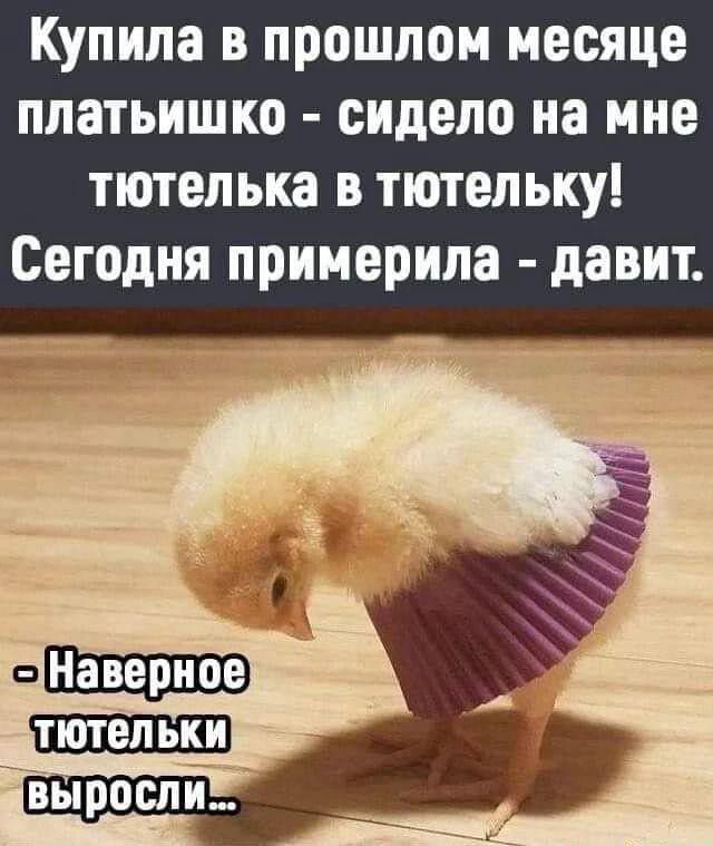 Купила в прошлом месяце платишко - сидело на мне тютелька в тютельку! Сегодня примерила - давит. 
-Наверное тютельки выросли...