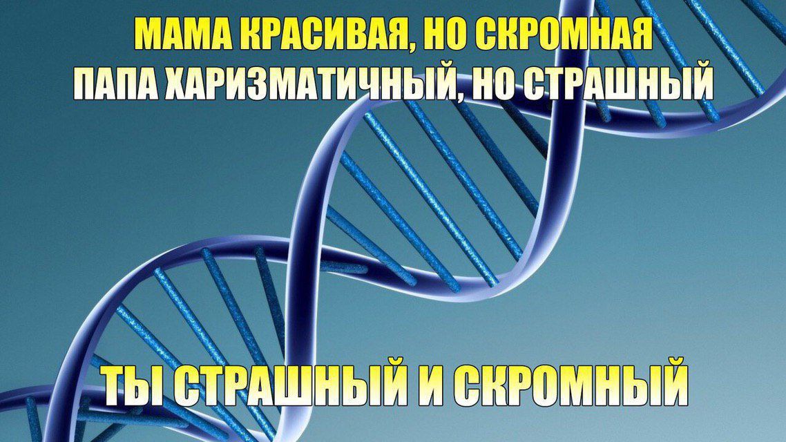 МАМА КРАСИВАЯ, НО СКРОМНАЯ
ПАПА ХАРИЗМАТИЧНЫЙ, НО СТРАШНЫЙ
ТЫ СТРАШНЫЙ И СКРОМНЫЙ
