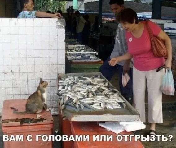 вам с головой или отгрызть?