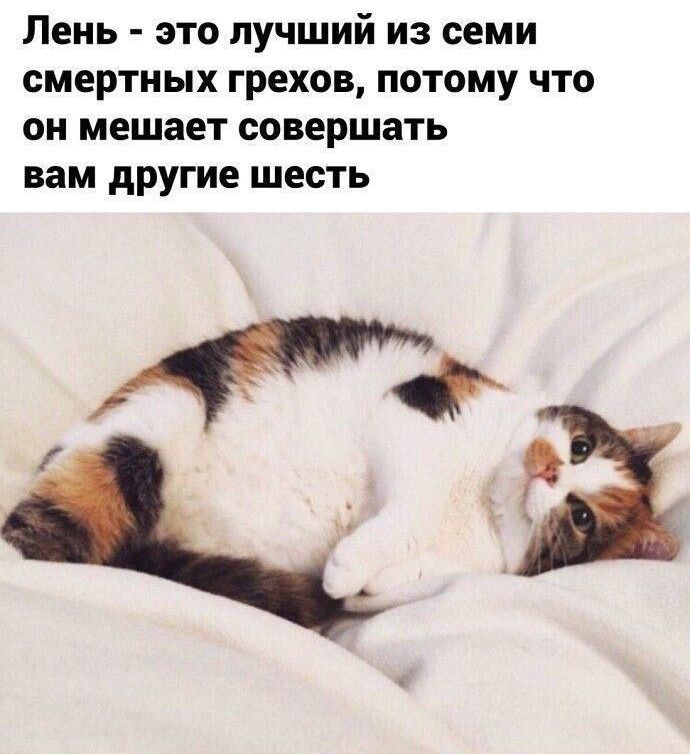 Лень - это лучший из семи смертельных грехов, потому что он мешает совершать вам другие шесть