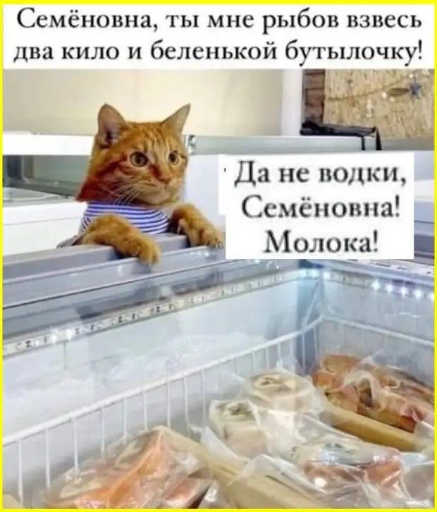 Семёновна, ты мне рыбов взвесь два кило и беленькой бутылочку! Да не водки, Семёновна! Молока!
