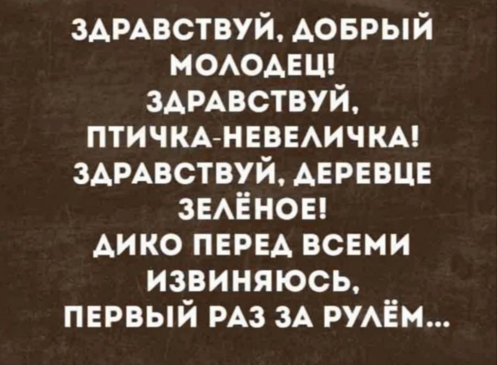 ЗДРАВСТВУЙ, ДОБРЫЙ МОЛОДЕЦ!
ЗДРАВСТВУЙ, ПТИЧКА-НЕВЕЛИЧКА!
ЗДРАВСТВУЙ, ДЕРЕВЕЦ ЗЕЛЁНОЕ!
ДИКО ПЕРЕД ВСЕМИ ИЗВИНЯЮСЬ, ПЕРВЫЙ РАЗ ЗА РУЛЁМ...