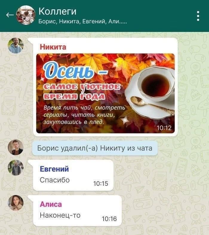 Осень самое уютное время года
Время пить чай, смотреть сериалы, читать книги, закатавшись в плед.
Борис удалил(-а) Никиту из чата
Евгений: Спасибо
Алиса: Наконец-то