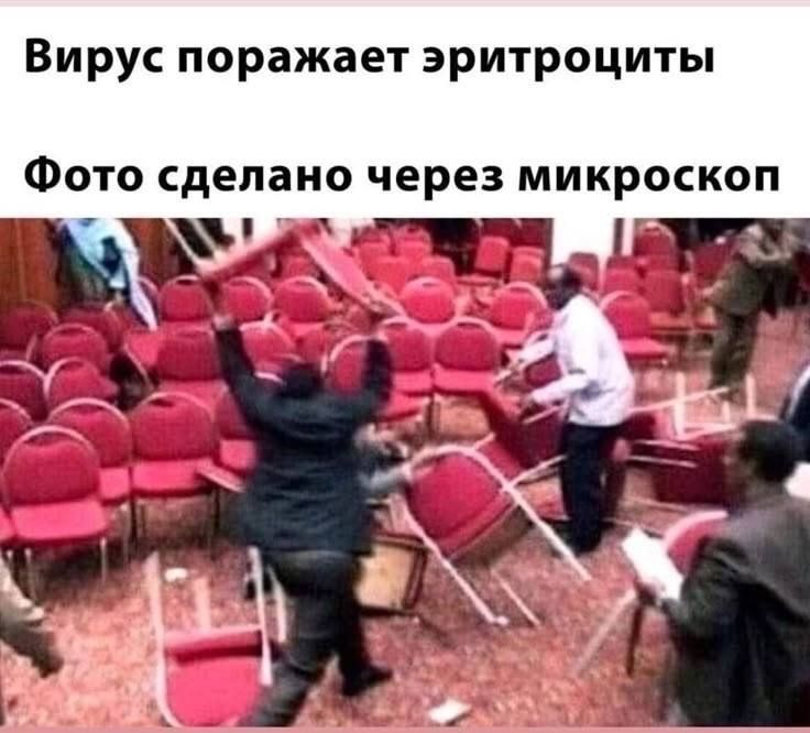 Вирус поражает эритроциты
Фото сделано через микроскоп