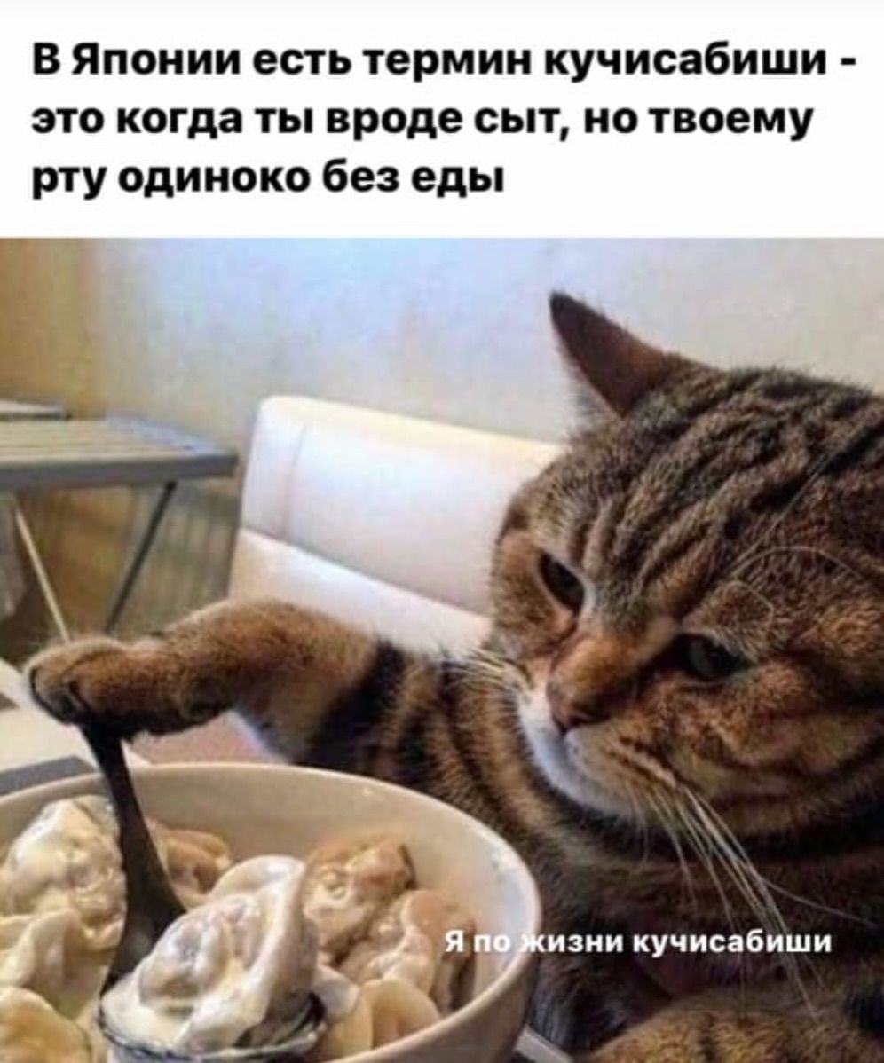 В Японии есть термин кучисабиши - это когда ты вроде съешь, но твоему рту одиноко без еды. Я по жизни кучисабиши