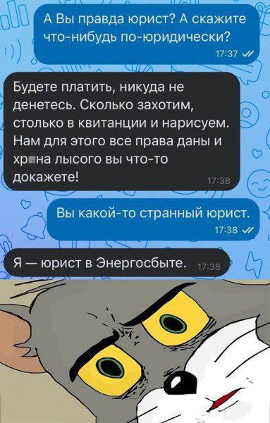 А Вы правда юрист? А скажите что-нибудь по-юридически?\nБудете платить, никуда не денетесь. Сколько захотим, столько в квитанции и нарисуем. Нам для этого все права даны и хрена лысого вы что-то докажете!\nВы какой-то странный юрист.\nЯ — юрист в Энергосбыт.
