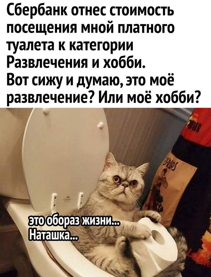Сбербанк отнес стоимость посещения мной платного туалета к категории Развлечения и хобби. Вот сижу и думаю, это моё развлечение? Или моё хобби? это образ жизни... Наташка...