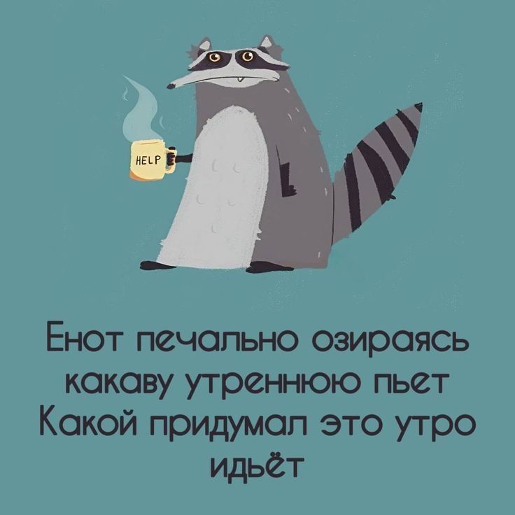 Енот печально озираясь какаву утреннюю пьет Какой придумал это утро идёт