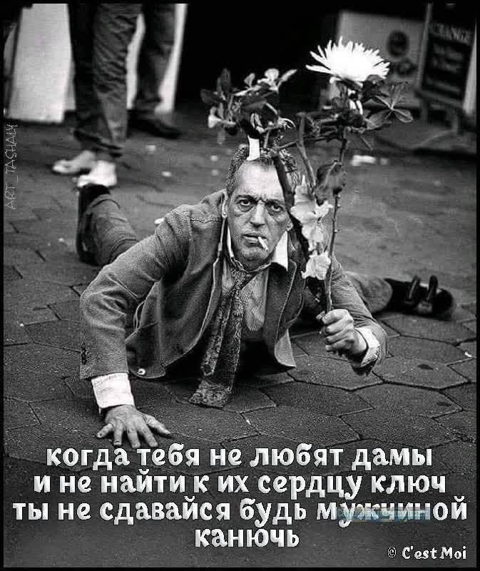 когда тебя не любят дамы и не найдешь к их сердцу ключ ты не сдавайся будь мужчиною
