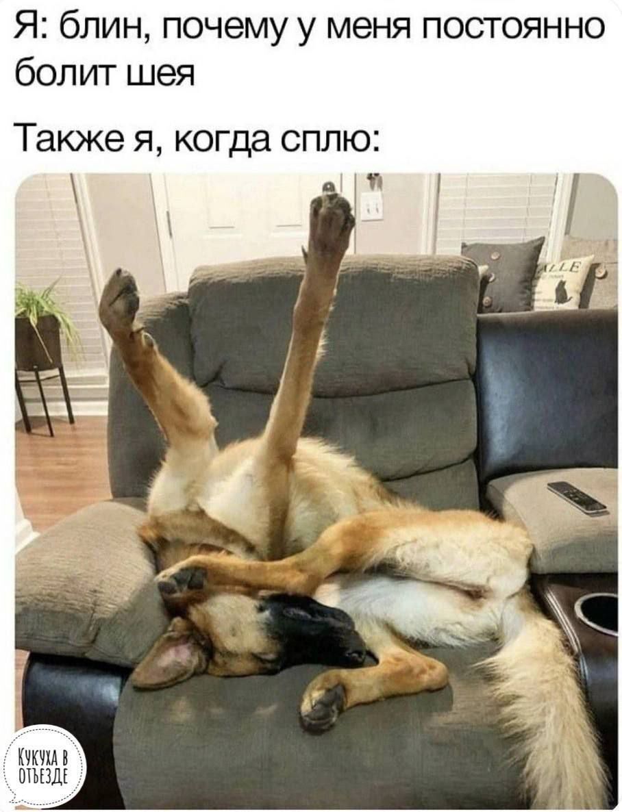 Я: блин, почему у меня постоянно болит шея\nТак же я, когда сплю: