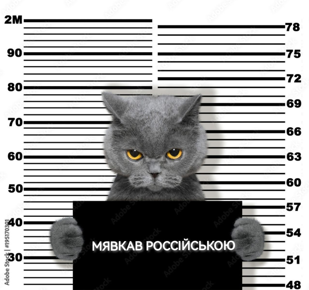 МЯВКАВ РОССИЙСКОЮ