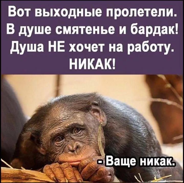 Вот выходные пролетели. В душе смятение и бардак! Душа НЕ хочет на работу. НИКАК!\n- Ваше никак.