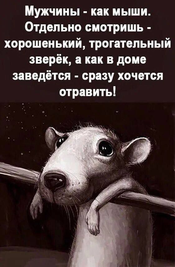 Мужчины - как мыши. Отдельно смотришь - хорошенький, трогательный зверёк, а как в доме заведётся - сразу хочется отравить!