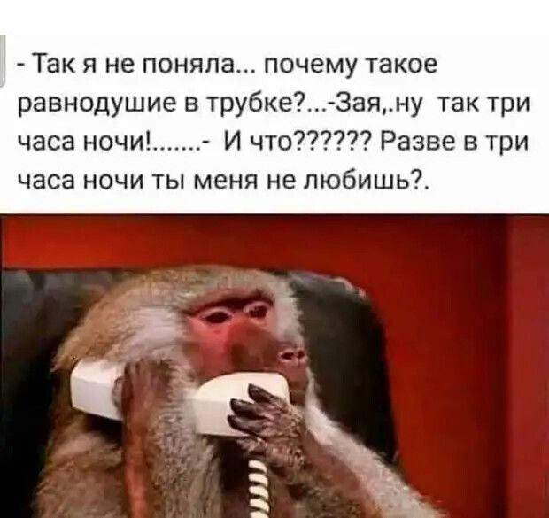 - Так я не поняла... почему такое равнодушие в трубке?...-Зая,ну так три часа ночи!........ И что??????? Разве в три часа ночи ты меня не любишь?