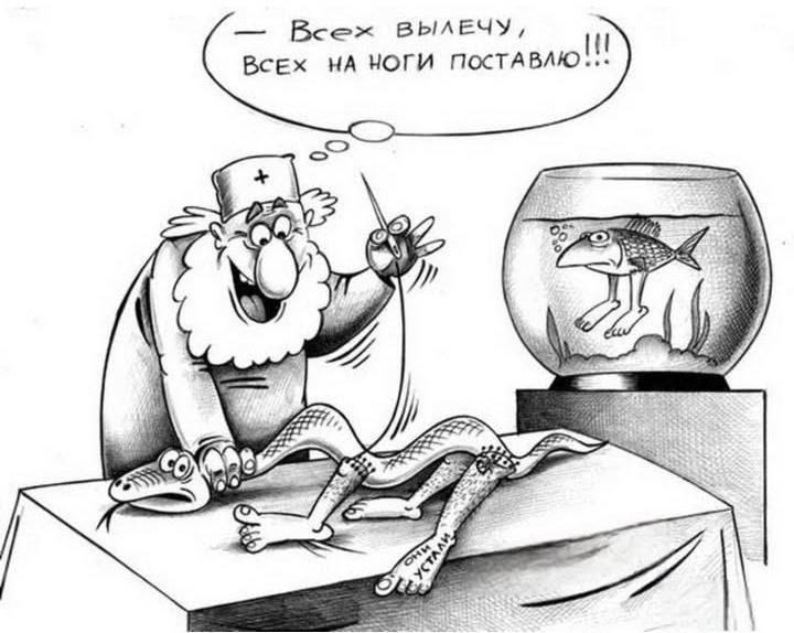 Всех вылечу, Всех на ноги поставлю!!!