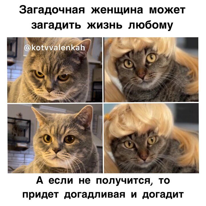 Загадочная женщина может загадить жизнь любому

@kotvvalenkah

А если не получится, то придет догадливая и догадит