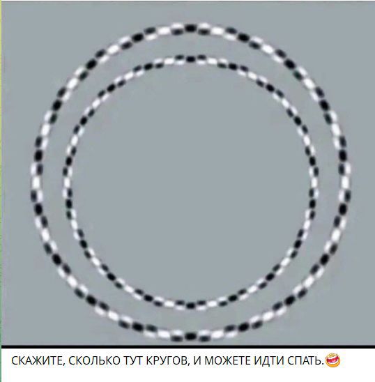 СКАЖИТЕ, СКОЛЬКО ТУТ КРУГОВ, И МОЖЕТЕ ИДТИ СПАТЬ.