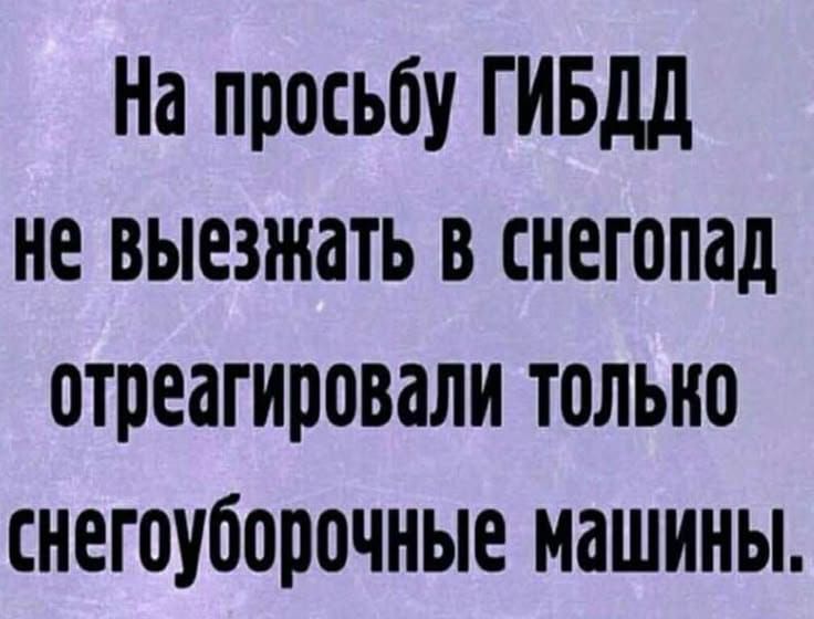 На просьбу ГИБДД не выезжать в снегопад отреагировали только снегоуборочные машины.